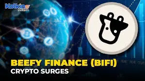 Beefy Finance